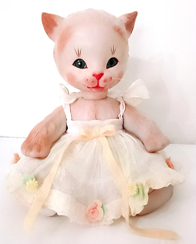 Kitty cat gatto - kitty,