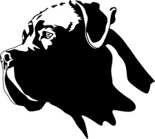 Adesivo CANE CORSO - adesivo