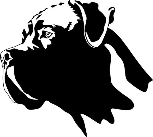 Adesivo cane corso - corso,