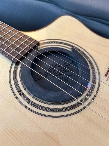 Maton feedback buster - feedback,