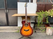 Chitarra acustica elettrica