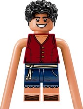 LEGO One Piece Minifigure