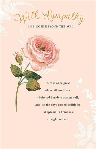 The rose beyond - the,