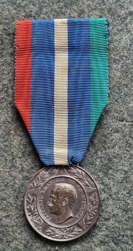 Medaglia veterani reduci - veterani, e