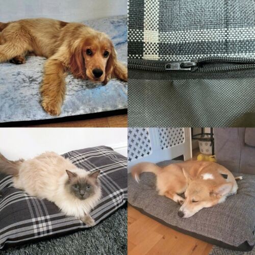 Animali cuscino letto cane - animali,