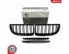 Griglia radiatore bmw serie - serie, 3