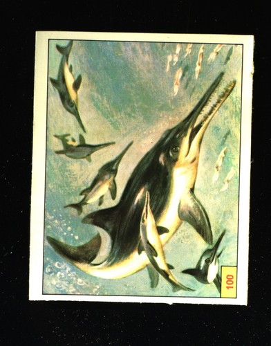 Animali preistorici - animali, (1974)