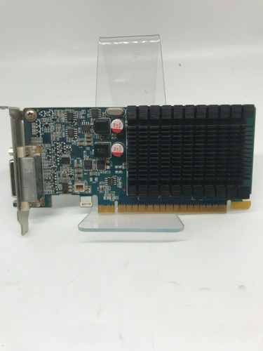 Pny nvidia geforce 8400 1gb - nvidia,