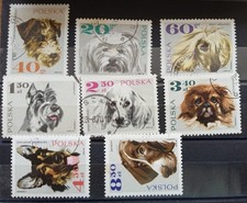 POLAND - 1969 - General - Assembly - Intl - Kennel - Federation-N1636-N1643-USED