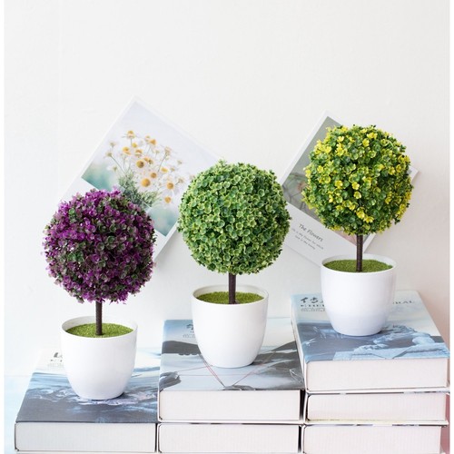 Pianta bonsai seta cm - pianta,