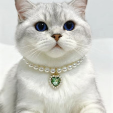 Collare perle animali - collare,