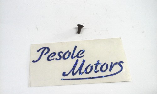 Perno motore motom 48 - ,