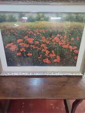 Franco Azzinari "Papaveri"