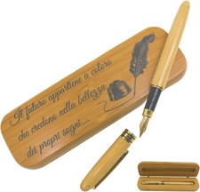 Penna stilografica elegante in