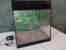 Askoll Pure M Led Nero Acquario Verticale con Filtro e Illuminazione LED 44 LT