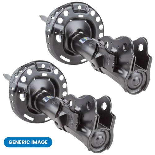 Puntone ammortizzatore - 2x,