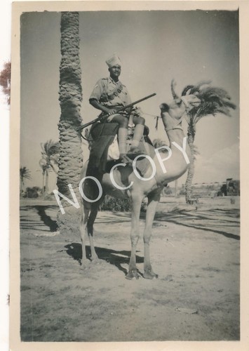 Foto seconda guerra mondiale