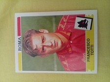 ***CALCIATORI PANINI