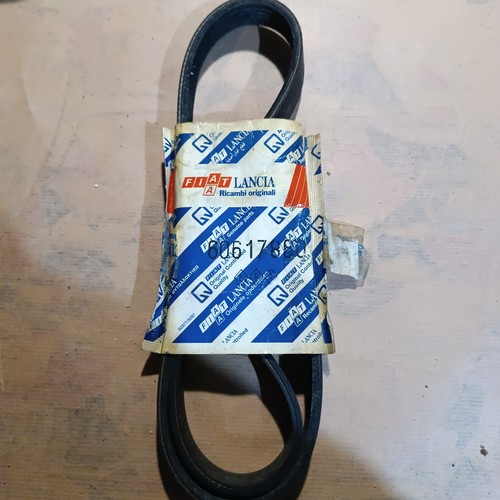 Cinghia servizi fiat - servizi, barchetta