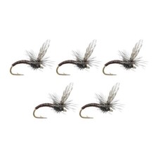 5 pezzi di mosche da pesca a