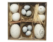 Set uova di Pasqua naturali e