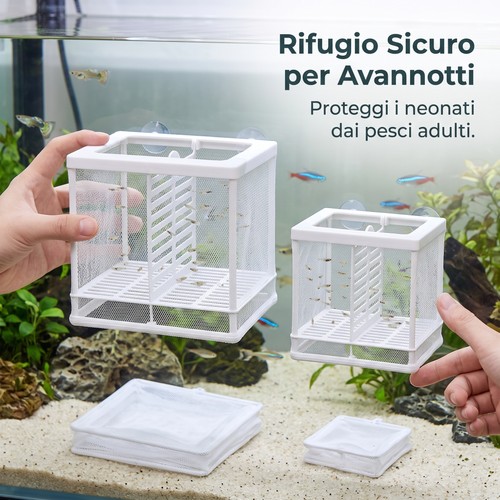 Scatola allevamento pesci - allevamento,
