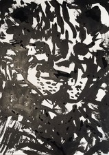 PDQ Artista Originale Animale