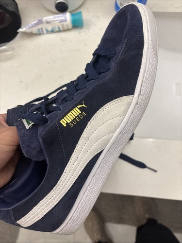 Taglia puma scamosciato - 12,