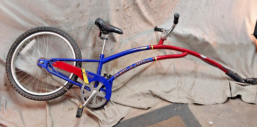 2010 trail bike - 2010, tag-a-long