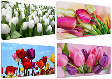 Quadri Moderni Fiori Tulipani cm.100x50 Arredo Casa Stampa su Tela Arte Design 