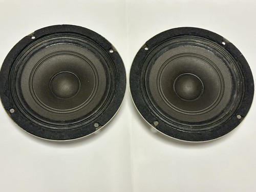 Coppia diffusori full range