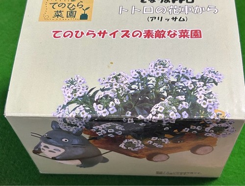 Fioriera giardino totoro - da,