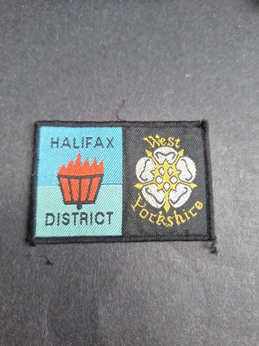 Scout badge district double - district,