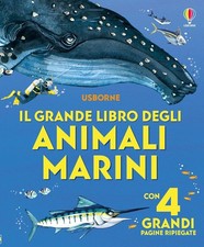 Libroni Usborne - Il grande