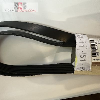 Cinghia servizi a c - cinghia,