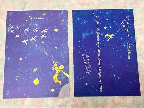 Cartolina petit prince - le,