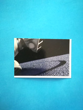 FIGURINA L'ERA GLACIALE