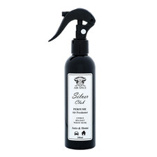Air Spice Silver Club Spray -