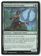 T396 battipista del - battipista,