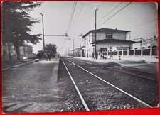 CARTOLINA PISA CASCINA