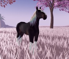 Wild horse islands nd - horse,