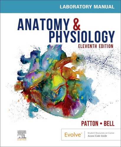 Anatomy physiology - anatomy, &