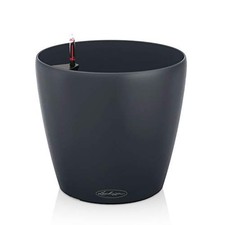 (TG. D19 H17 cm) Lechuza -