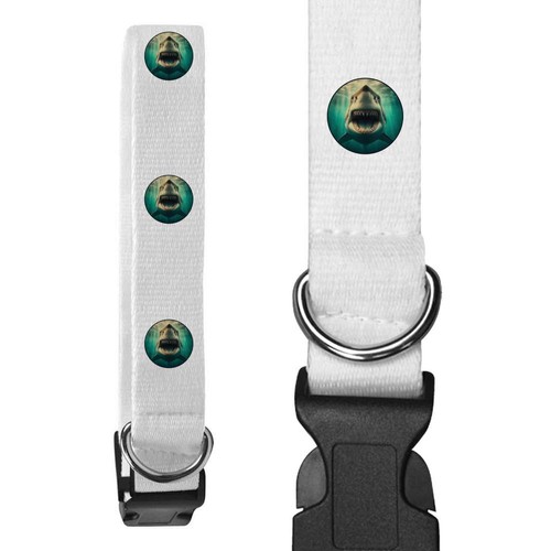 Collari per cani grande - collari,