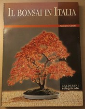 Il bonsai in Italia