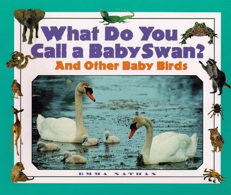 What you call - do, a