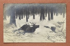 Winter Tragedy. Wounded dying