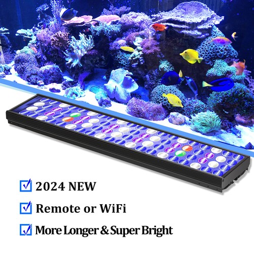 Popbloom marine led - popbloom,