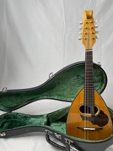 Suzuki classic mandolin - classic, m-100