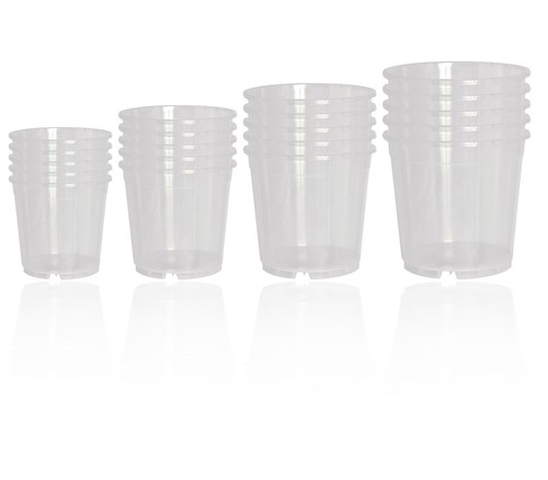 Set vasi per - per, orchidee